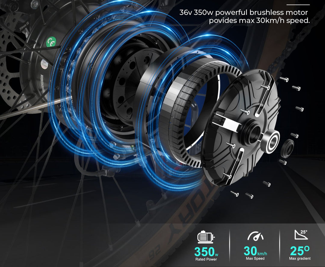 SAMEBIKE TDE10Z Elektrinis Dviratis 350W