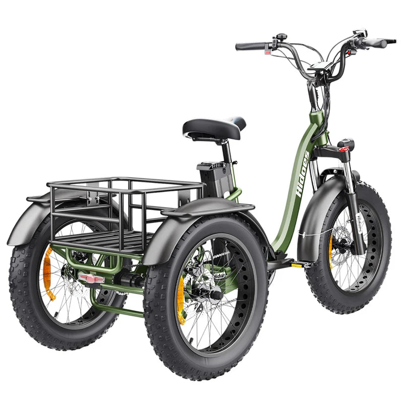 Hidoes HD-ET1 elektrinis dviratis triratis 750W