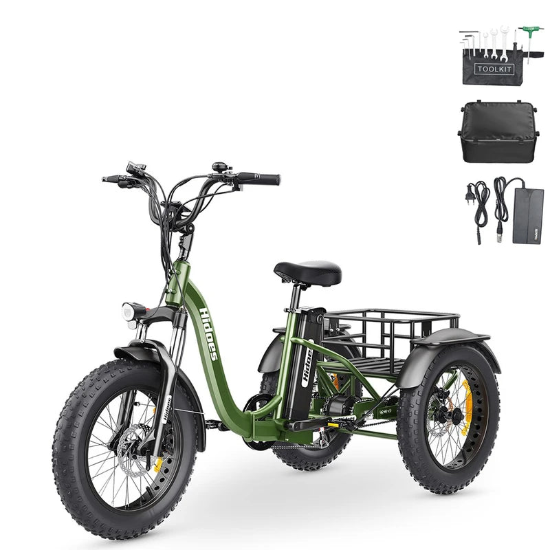Hidoes HD-ET1 elektrinis dviratis triratis 750W