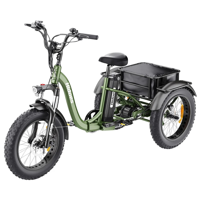 Hidoes HD-ET1 elektrinis dviratis triratis 750W