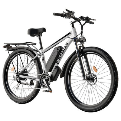 FENGQS Q8 elektrinis dviratis, 750W, 50 km/h, hidrauliniai diskiniai stabdžiai