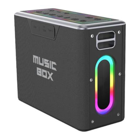 Kolonėlė HiFuture Music Box Bluetooth + 2 mikrofonai