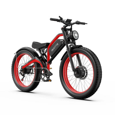 DUOTTS N26 Elektrinis Dviratis 1500W